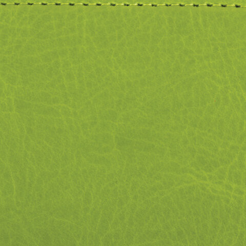 Ежедневник недатированный МАЛЫЙ ФОРМАТ (100x150 мм) А6, BRAUBERG "Rainbow", 136 л., зеленый, 111689