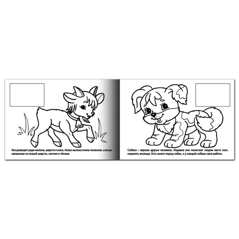 Книжка-раскраска А5, 4 л., HATBER, с наклейками, Мои первые уроки, "Домашние животные", 4Р5н 05824, R133187