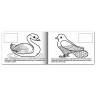 Книжка-раскраска А5, 4 л., HATBER с наклейками, Мои первые уроки, "Птицы", 4Р5н 05826, R002705