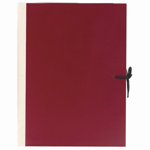 Папка для бумаг архивная А4 (225х310 мм), 120 мм, 4 завязки, бумвинил, корешок - коленкор, 123201