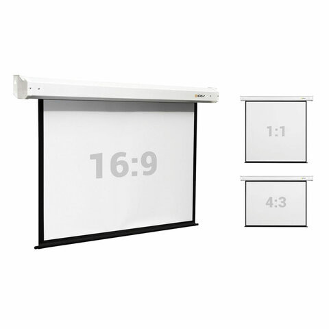 Экран проекционный настенный 150" (308x230 см), электропривод, 4:3, DIGIS Electra-F, DSEF-4305
