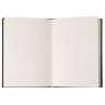 Скетчбук, слоновая кость 100 г/м2, 148х210 мм, 110 л., книжный твердый переплет, BRAUBERG ART "CLASSIC", 128958