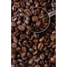 Кофе в зернах COFFESSO "Espresso", 1000 г, вакуумная упаковка, 101215