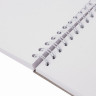 Скетчбук, белая бумага 160 г/м2, 205х290 мм, 30 л., гребень, жёсткая подложка, BRAUBERG ART "DEBUT", 110985