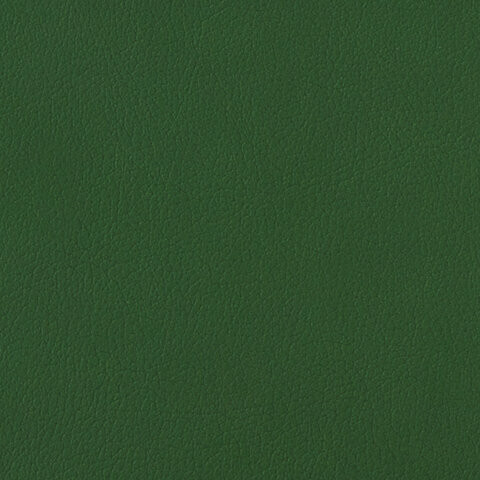 Тетрадь на кольцах А5 (180х220 мм), 120 л., под фактурную кожу, BRAUBERG "Joy", зелёный/светло-зелёный, 129991