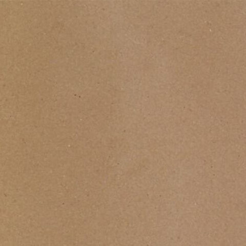 Альбом для эскизов 210х210 мм, 40 л., 70 г/м2, крафт-бумага, на скобе, "Дерево", ЭД