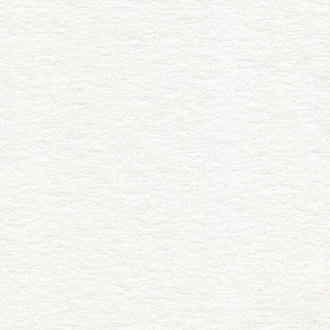 Папка для акварели БОЛЬШОГО ФОРМАТА А2, 10 л., 200 г/м2, 400х590 мм, BRAUBERG ART CLASSIC, "Луг", 111062