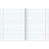 Тетрадь предметная SILVER 48 листов, металлизированный картон, ЛИТЕРАТУРА, линия, подсказ, BRAUBERG, 404020