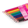 Карандаши цветные BRAUBERG "Pretty Girls", 12 цветов, пластиковые, заточенные, картонная упаковка, 180576