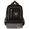 Рюкзак BRAUBERG STAR, Spider, черный, 40х29х13 см, 229978