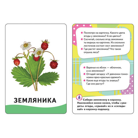 Карточки развивающие "В лесу", Котятова Н.И., Росмэн, 20992