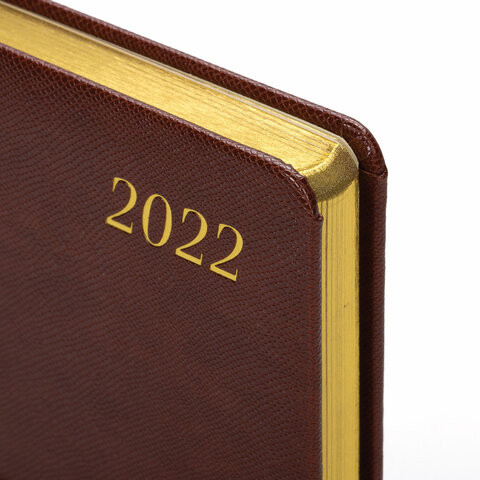 Ежедневник датированный 2022 А5 138x213 мм BRAUBERG "Iguana", под кожу, коричневый, 112755