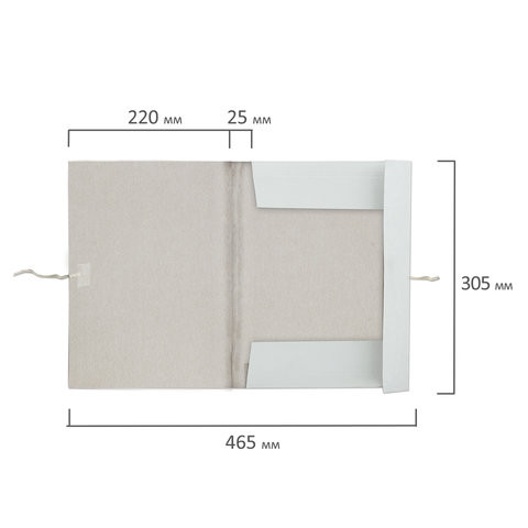 Папка для бумаг с завязками картонная мелованная BRAUBERG, 280 г/м2, до 200 листов, 110924