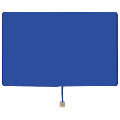 Дневник 1-11 класс 48 л., обложка кожзам (гибкая), термотиснение, BRAUBERG "ORIGINAL", голубой, 105965