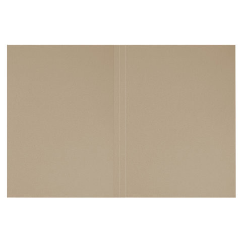 Папка без скоросшивателя "Дело", картон, плотность 440 г/м2, до 200 листов, BRAUBERG, 110929