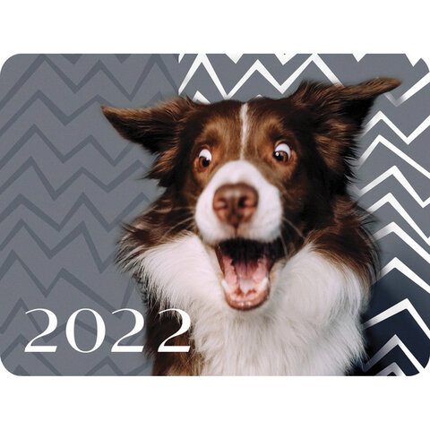Календарь карманный на 2022 год, 70х100 мм, "Прикольные животные", HATBER, Кк7