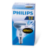 Лампа накаливания PHILIPS Spot R50 E14 30D, 60 Вт, зеркальная, колба d = 50 мм, цоколь E14, угол 30°, 382429