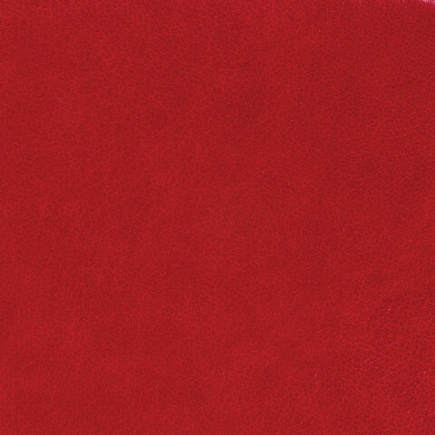 Ежедневник недатированный А5 (138x213 мм), BRAUBERG "Rainbow", кожзам, 136 л., красный, 111667