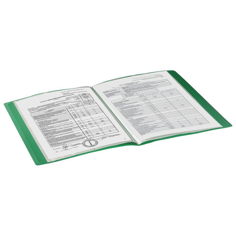 Папка 10 вкладышей BRAUBERG стандарт, зеленая, 0,5 мм, 221589