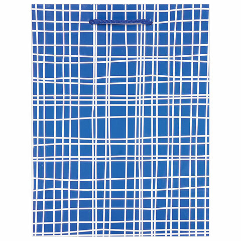 Пакет подарочный 17,8x9,8x22,9 см, ЗОЛОТАЯ СКАЗКА "В голубую клетку", ламинированный, 606597