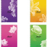 Тетрадь А5, 96 л., HATBER ECO, гребень, клетка, обложка картон, "Цветы" (4 вида в спайке), 96Т5C1гр