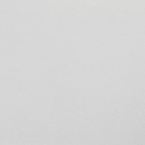 Папка для акварели БОЛЬШОГО ФОРМАТА А3, 10 л., 200 г/м2, 297х420 мм, BRAUBERG ART CLASSIC, "Сакура", 125224