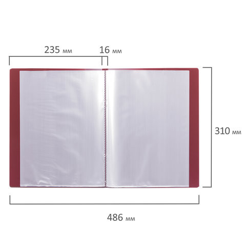 Папка 20 вкладышей BRAUBERG стандарт, красная, 0,6 мм, 221594